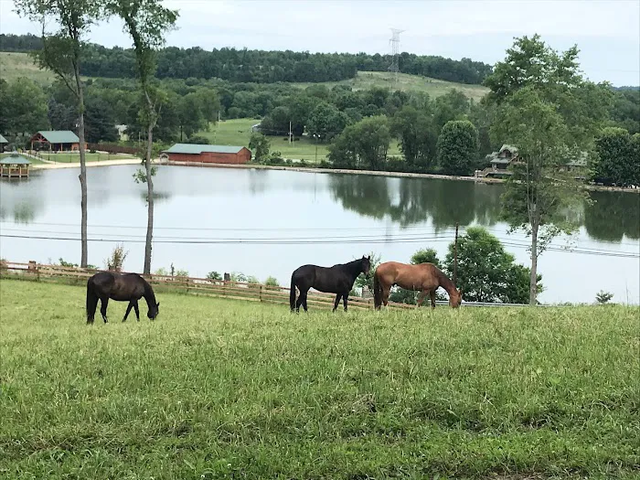 North Country Equine, LLC 2