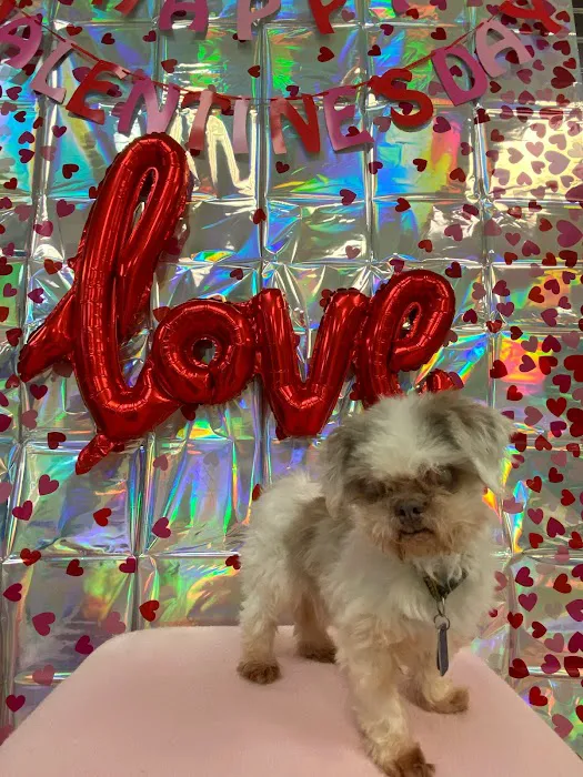 Rainbow Veterinary Hospital 6