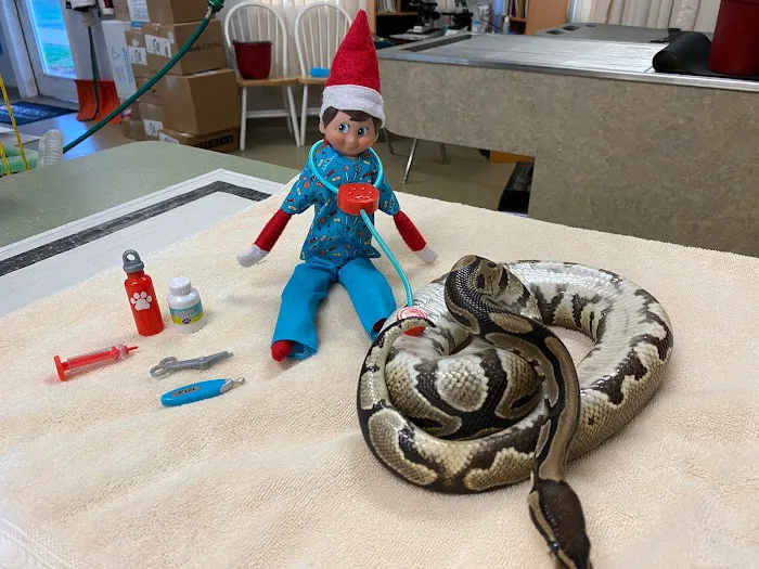 Rainbow Veterinary Hospital 2