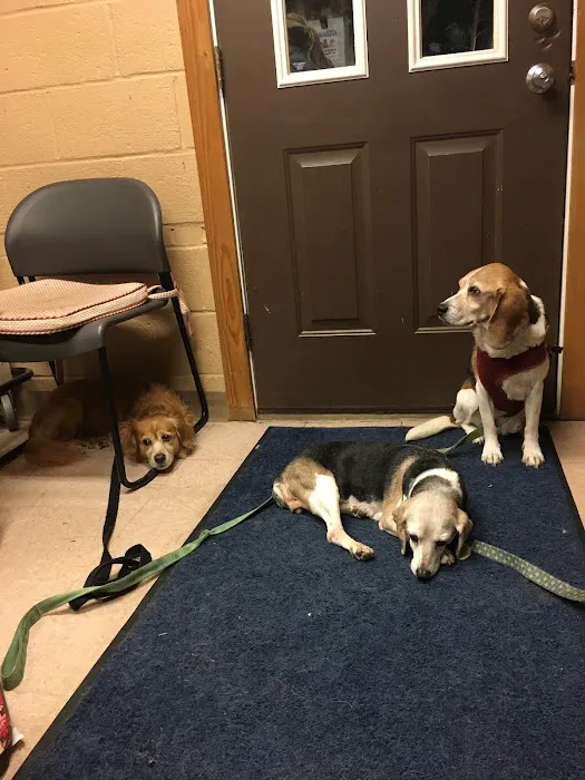Chardon Veterinary Hospital 3