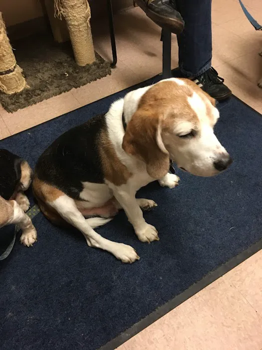 Chardon Veterinary Hospital 5