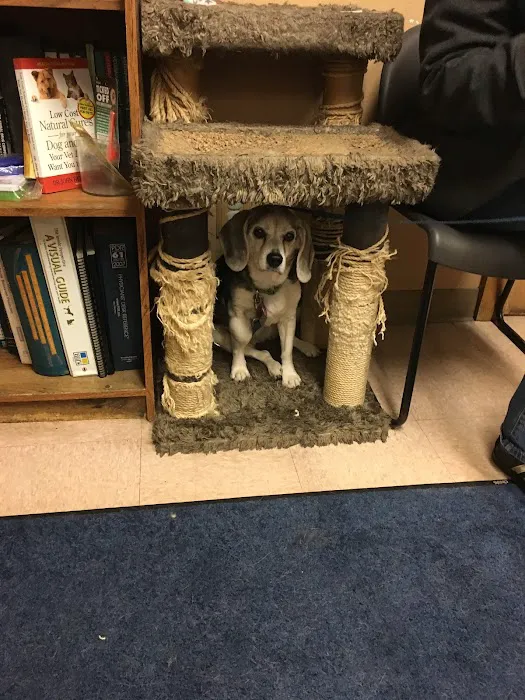 Chardon Veterinary Hospital 6