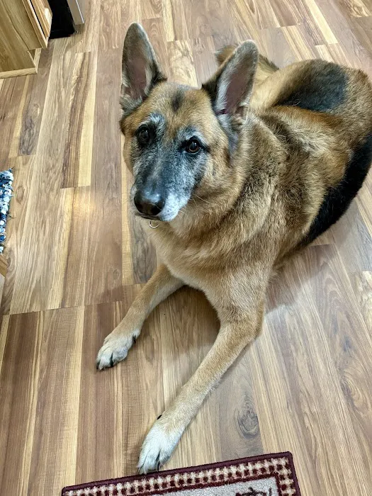 BIG CREEK VETERINARY 8