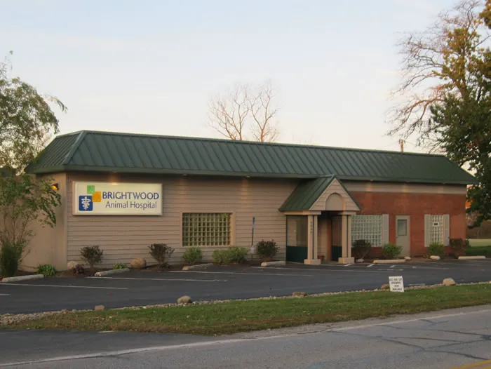 Brightwood Animal Hospital 2