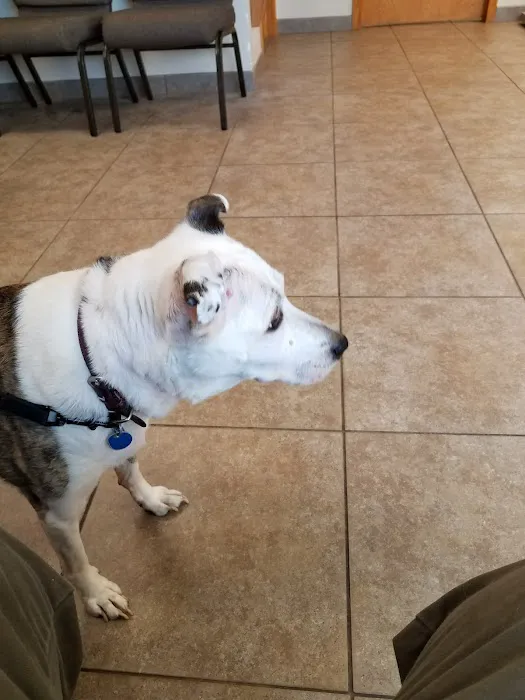 Brightwood Animal Hospital 1