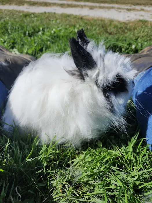 Trinity Veterinary Hospital 3
