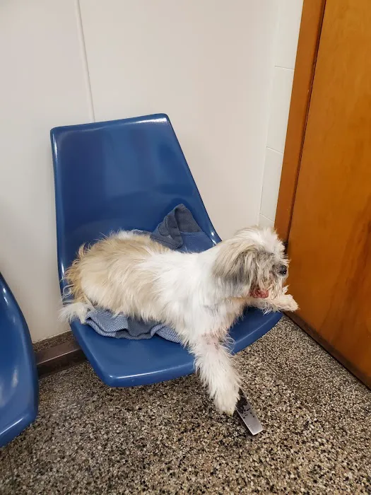 Lake Animal Hospital 10