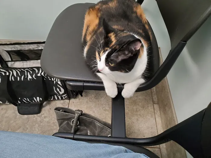 Champion Animal Hospital 10