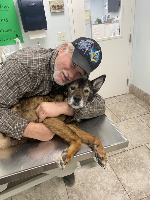 Champion Animal Hospital 2