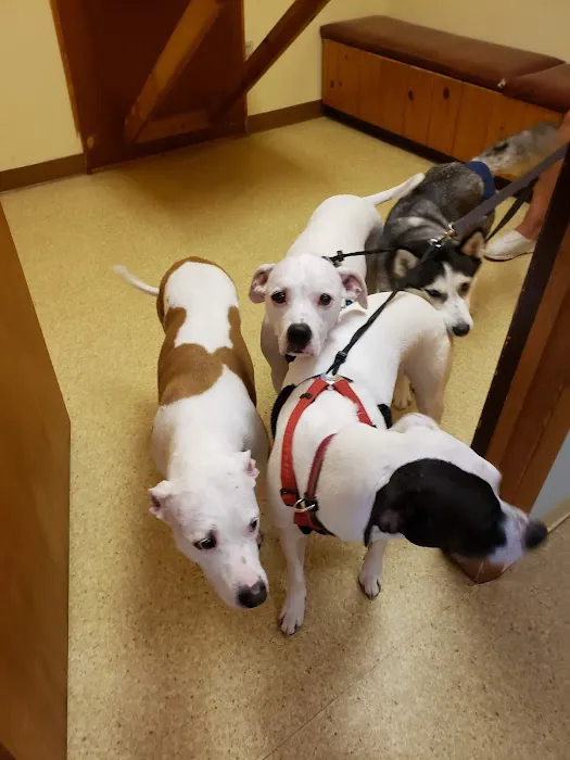 Lordstown Veterinary Clinic 7