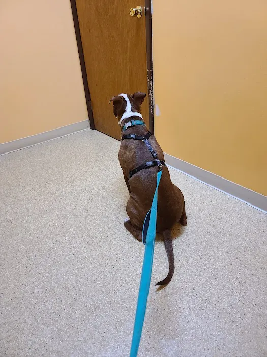 Lordstown Veterinary Clinic 8