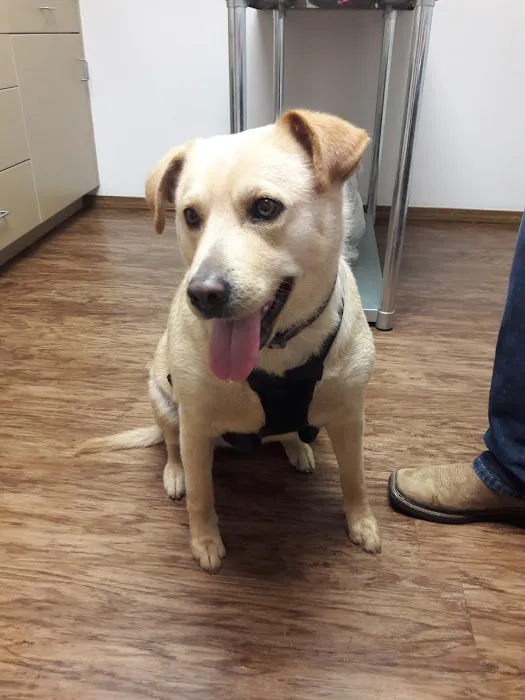 Hancock Veterinary Services of Bella Vista 6