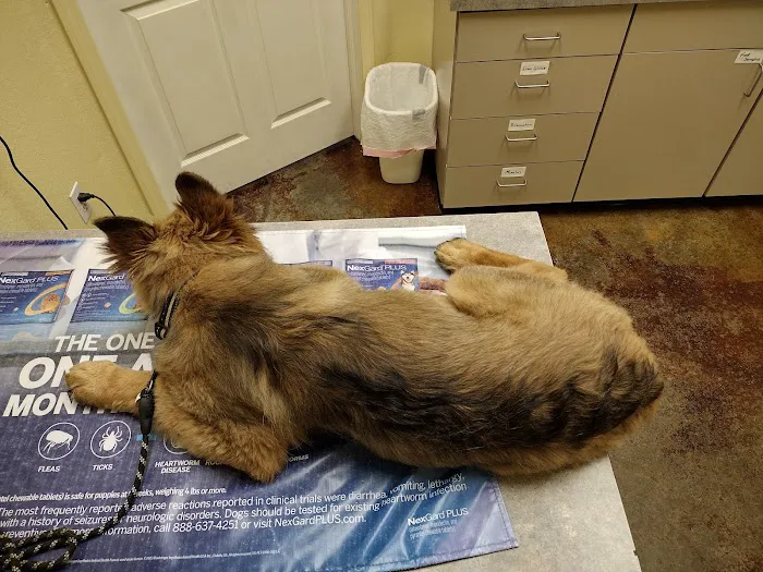 Country View Animal Care Center 10