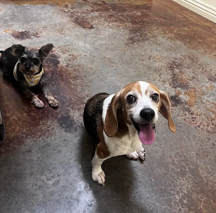 Country View Animal Care Center 2
