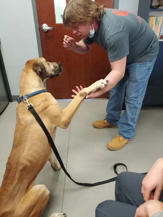 Village Pet Hospital: Hayden Patrick DVM 1