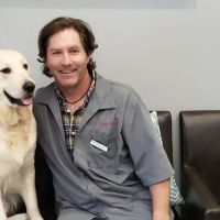 Village Pet Hospital ico