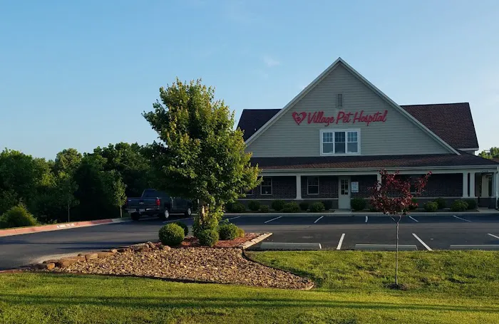 Village Pet Hospital 10