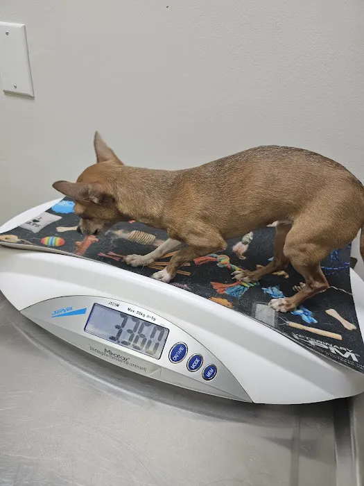Lyon County Animal Hospital 2