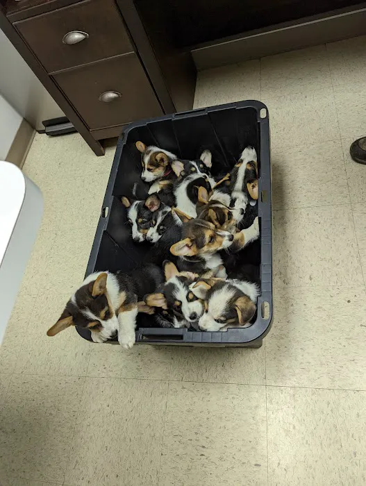 Lyon County Animal Hospital 8