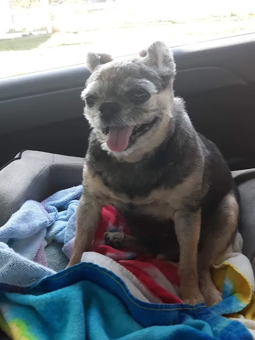 Lyon County Animal Hospital 6
