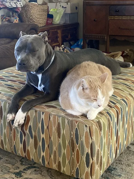 Lyon County Animal Hospital 9