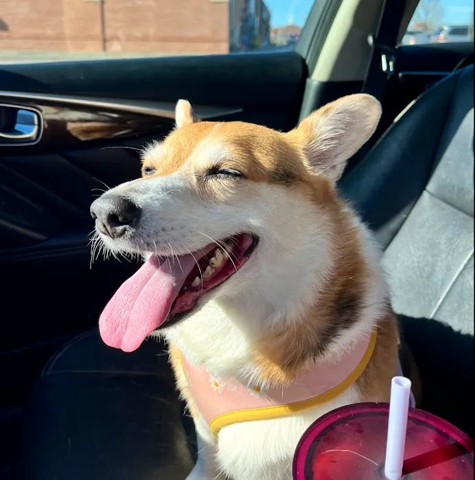 Lyon County Animal Hospital 1