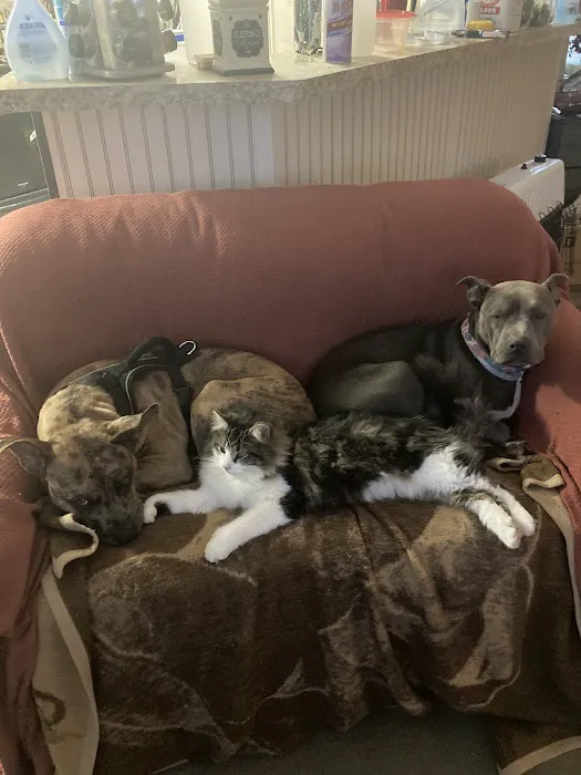 Lyon County Animal Hospital 5