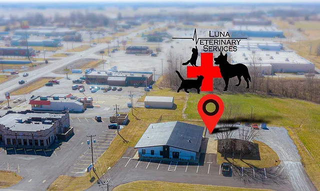 Luna Veterinary Services 3