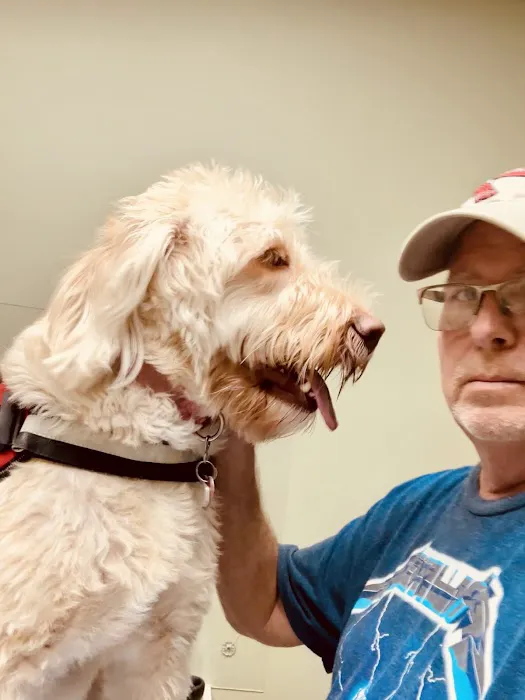 Greenville Animal Hospital 1