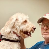 Greenville Animal Hospital ico