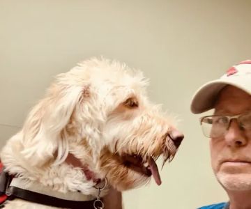 Greenville Animal Hospital
