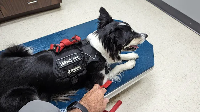 Muhlenberg County Animal Hospital 3