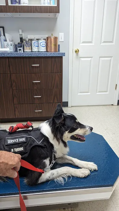 Muhlenberg County Animal Hospital 4