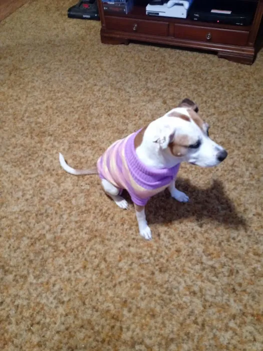 Muhlenberg County Animal Hospital 6