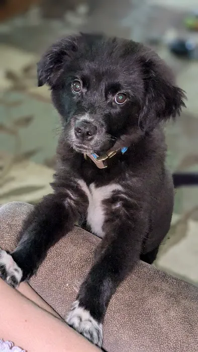 Muhlenberg County Animal Hospital 10