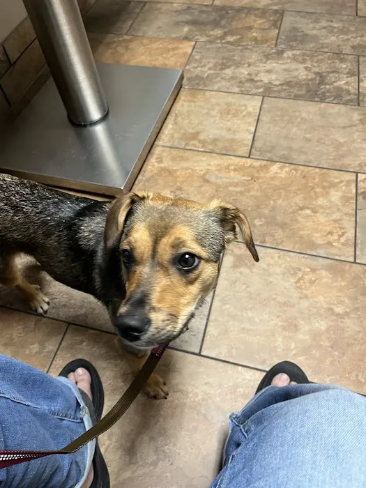 Southside Veterinary Clinic 2