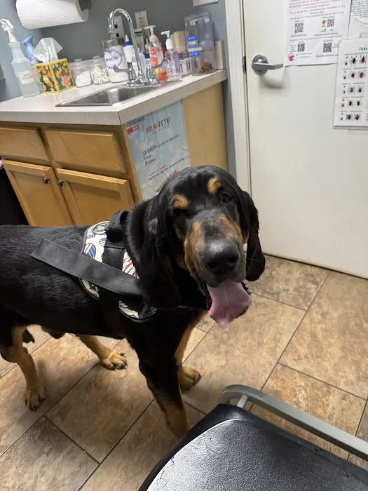 Southside Veterinary Clinic 10