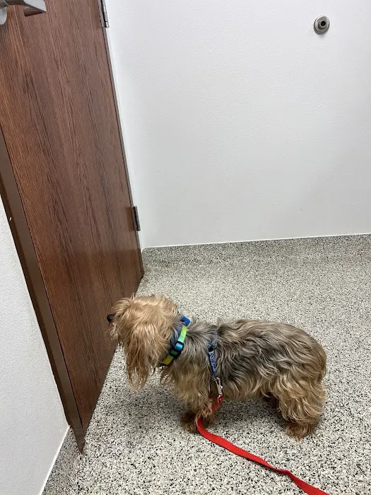 Fort Cavazos Veterinary Center 6