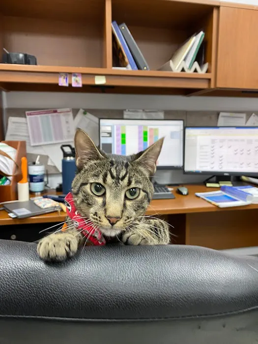Fort Cavazos Veterinary Center 10