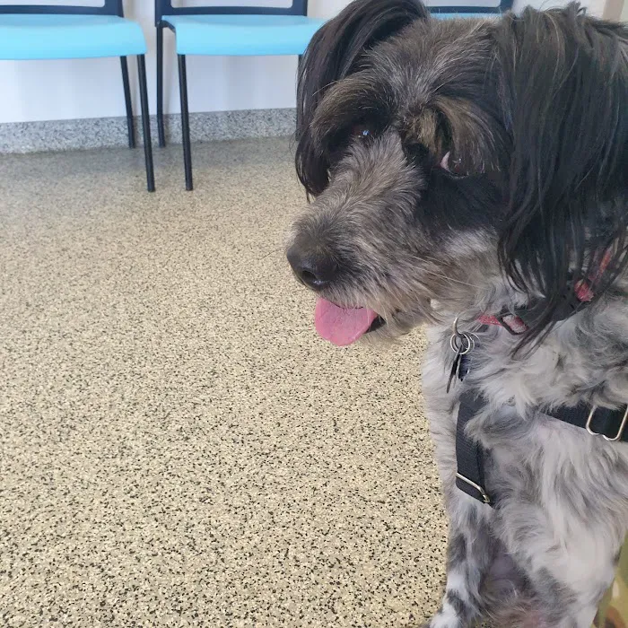 Fort Cavazos Veterinary Center 3