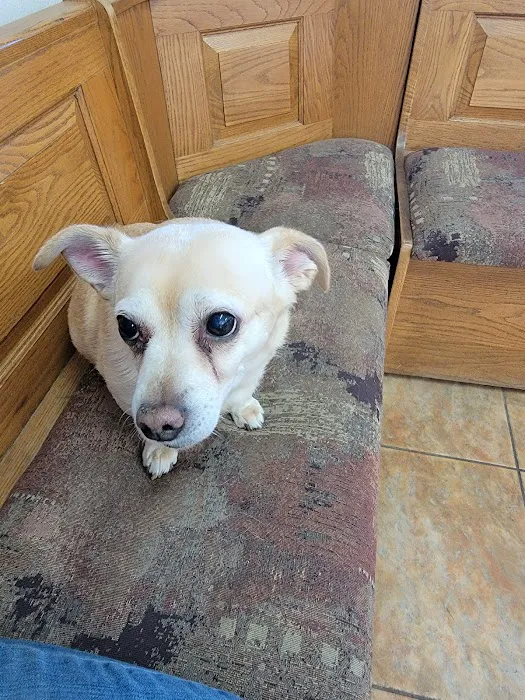 Sweetwater Veterinary Clinic 4
