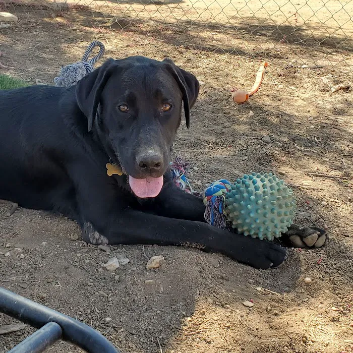 Sweetwater Veterinary Clinic 10