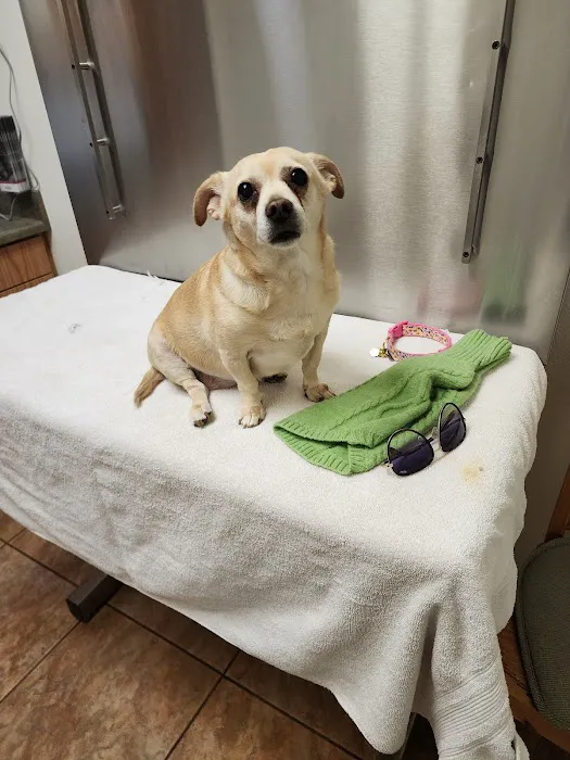 Sweetwater Veterinary Clinic 2