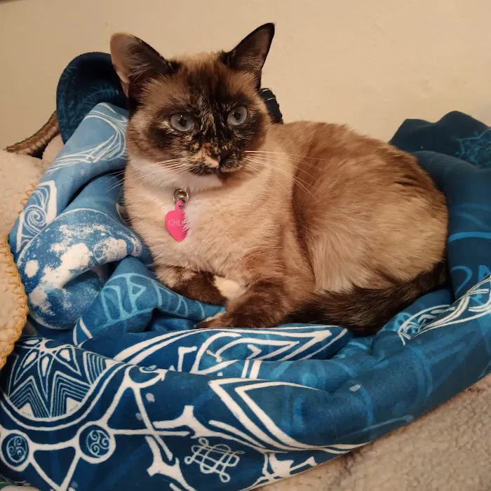 Sweetwater Veterinary Clinic 5