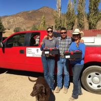 Mobile Equine Diagnostics, Inc. ico