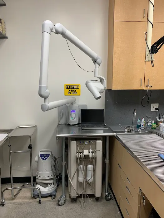 Dog and Cat Hospital Calabasas 10