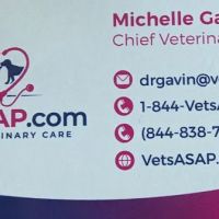 VetsASAP Mobile Veterinary Care ico
