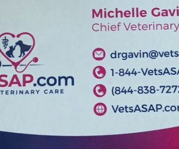 VetsASAP Mobile Veterinary Care