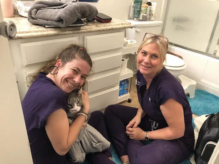 VetsASAP Mobile Veterinary Care 4
