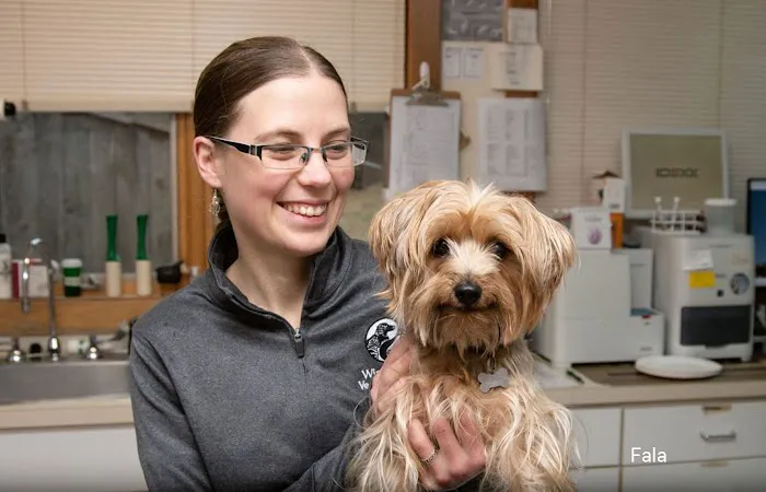 Windy Hollow Veterinary Clinic 4